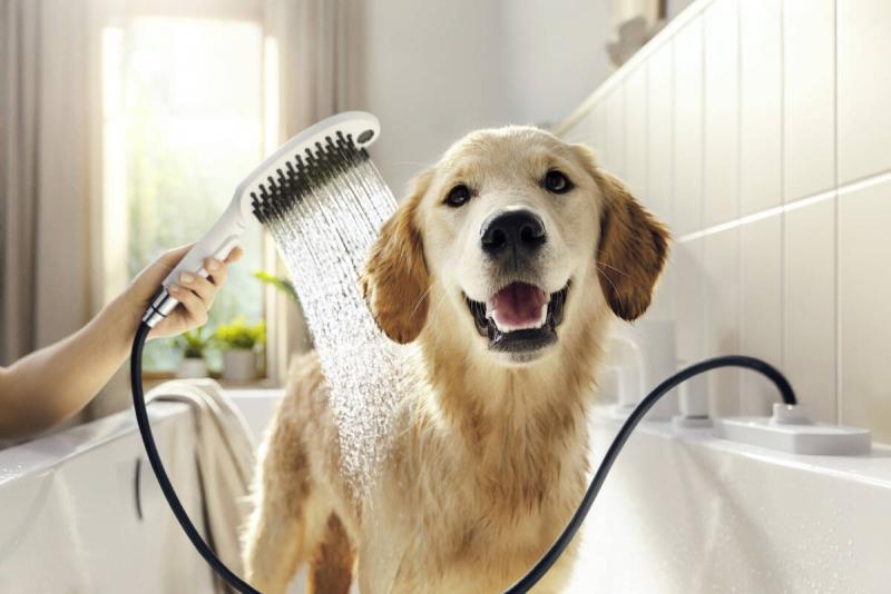 hansgrohe DogShower hundebruser 150 3jet m/massagedyser - Mat sort