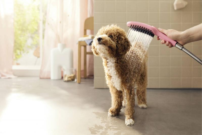 hansgrohe DogShower hundebruser 150 3jet m/massagedyser - Mat sort